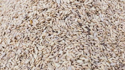 niri = egusi gourd seeds