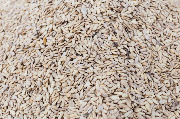 niri = egusi gourd seeds