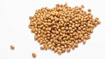 Soya Beans isolated above the white background