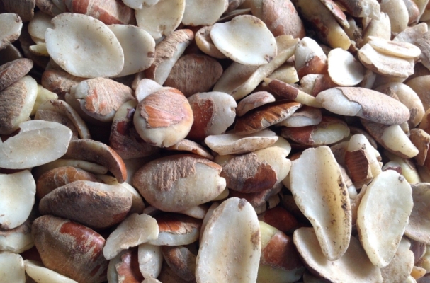 African-Bush-Mango-Seeds 2