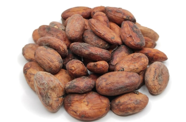 Cocoa Bean