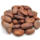 Cocoa Bean
