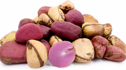 Kola nuts