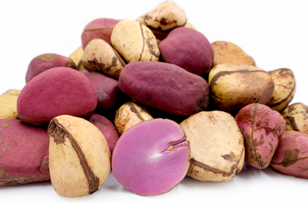 Kola nuts