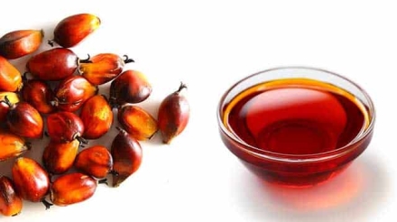 Red-Palm-fruit-and-glass-bowl-red-palm-oil