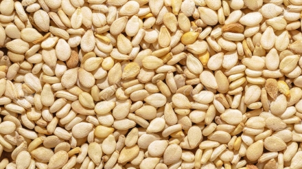 Organic natural sesame seeds texture background