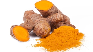 Studio shot on white background with natural reflections of fresh and dried turmeric. (cúrcuma Longa) kurkum