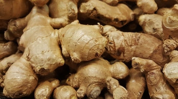 ginger-root-spice-herb