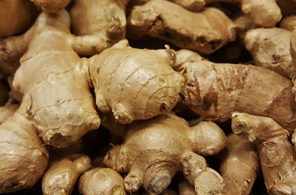 ginger-root-spice-herb