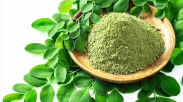 moringa