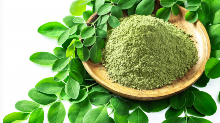 moringa
