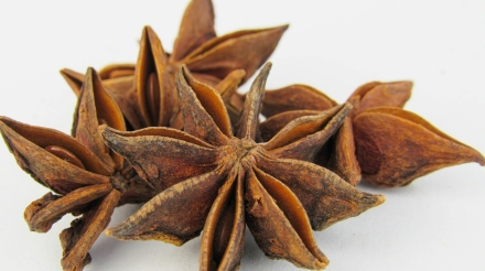 a group of star anise on a white background