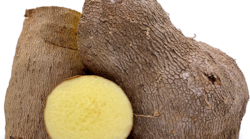 yellow yam
